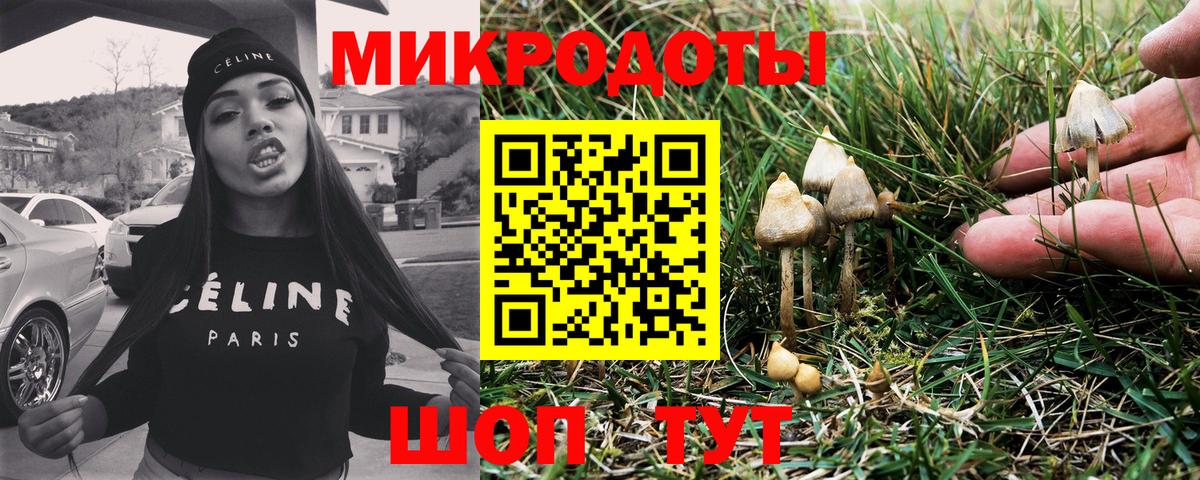 Галлюциногенные грибы MAGIC MUSHROOMS Кольчугино