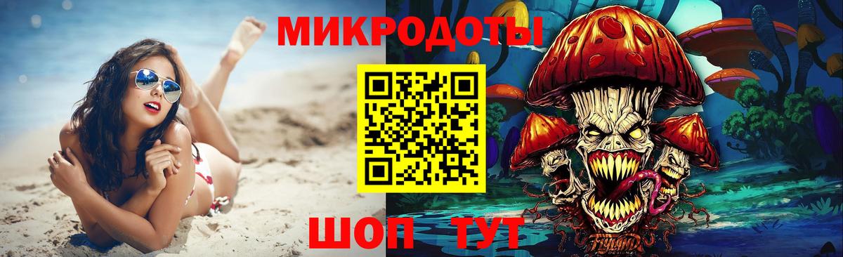 Галлюциногенные грибы Psilocybe  Вход с VPN  Кольчугино  Псилоцибиновые грибы мицелий 